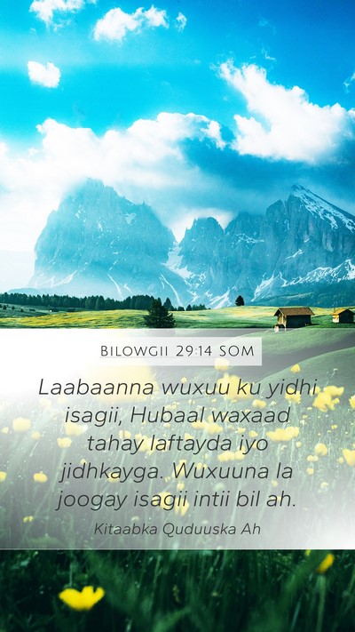 Bilowgii 29:14 SOM Bible Verse Image