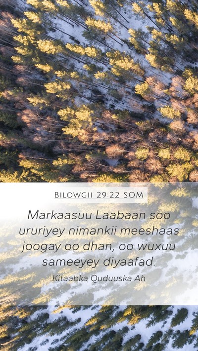 Bilowgii 29:22 SOM Bible Verse Image