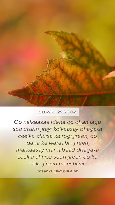 Bilowgii 29:3 SOM Mobile Phone Wallpaper - Oo halkaasaa idaha oo dhan lagu soo ururin jiray: - Mobile Bible Verse Wallpaper