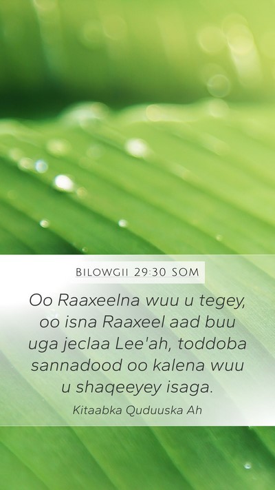 Bilowgii 29:30 SOM Bible Verse Image