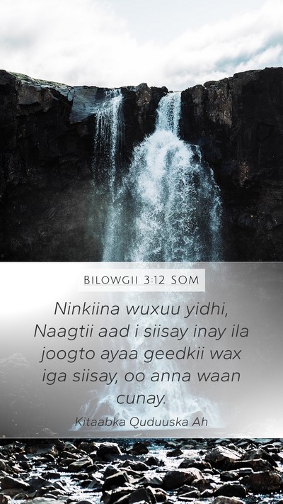 Bilowgii 3:12 SOM Bible Verse Image