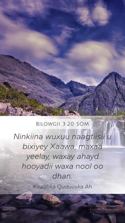Bilowgii 3:20 SOM Mobile Phone Wallpaper - Ninkiina wuxuu naagtiisii u bixiyey Xaawa, maxaa - Mobile Bible Verse Wallpaper