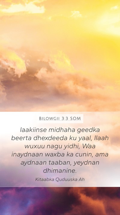 Bilowgii 3:3 SOM Bible Verse Image