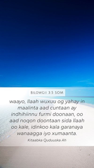 Bilowgii 3:5 SOM Bible Verse Image