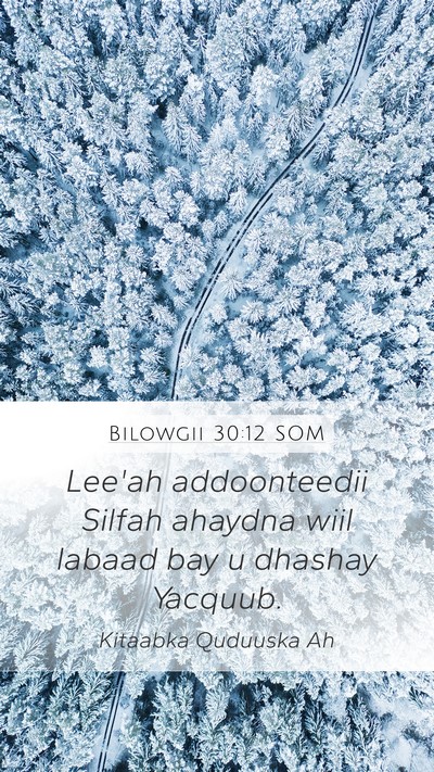 Bilowgii 30:12 SOM Mobile Phone Wallpaper - Lee'ah addoonteedii Silfah ahaydna wiil labaad - Mobile Bible Verse Wallpaper
