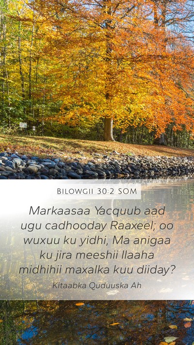 Bilowgii 30:2 SOM Bible Verse Image
