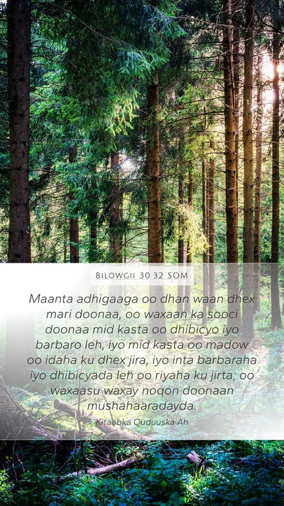 Bilowgii 30:32 SOM Mobile Phone Wallpaper - Maanta adhigaaga oo dhan waan dhex mari doonaa, - Mobile Bible Verse Wallpaper