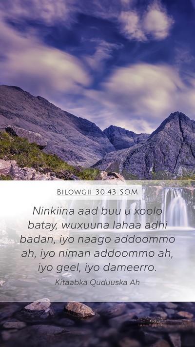 Bilowgii 30:43 SOM Bible Verse Image