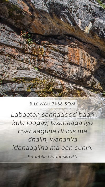 Bilowgii 31:38 SOM Bible Verse Image