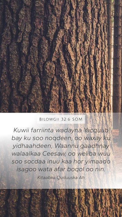 Bilowgii 32:6 SOM Bible Verse Image