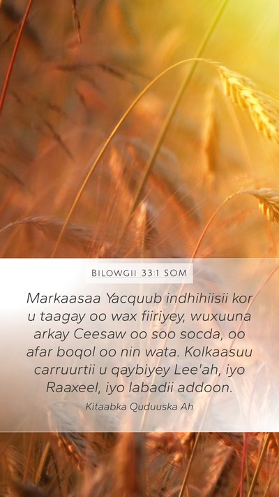 Bilowgii 33:1 SOM Bible Verse Image