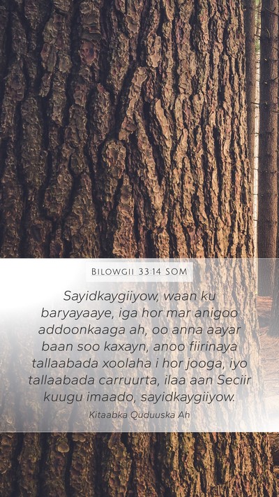 Bilowgii 33:14 SOM Bible Verse Image