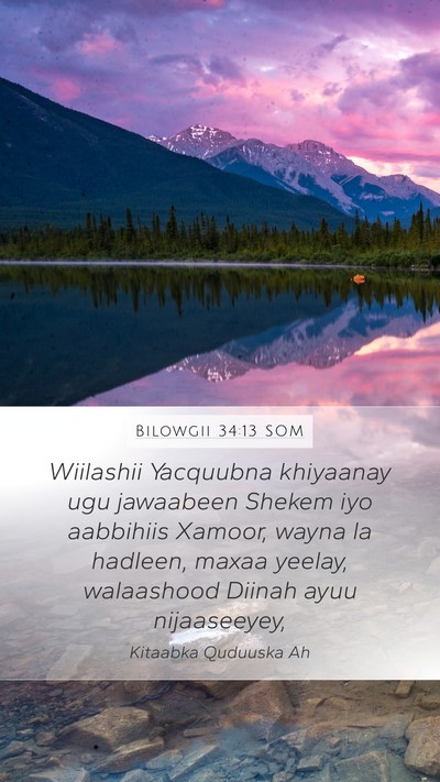 Bilowgii 34:13 SOM Mobile Phone Wallpaper - Wiilashii Yacquubna khiyaanay ugu jawaabeen - Mobile Bible Verse Wallpaper