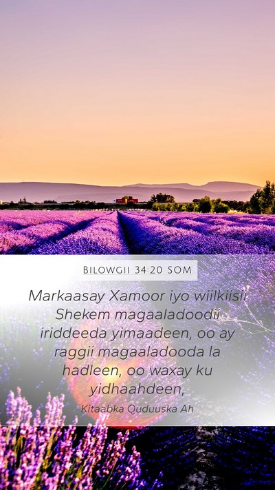 Bilowgii 34:20 SOM Bible Verse Image