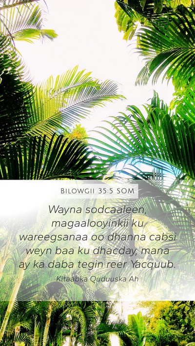 Bilowgii 35:5 SOM Bible Verse Image