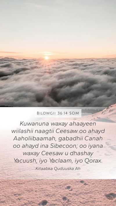 Bilowgii 36:14 SOM Mobile Phone Wallpaper - Kuwanuna waxay ahaayeen wiilashii naagtii Ceesaw - Mobile Bible Verse Wallpaper