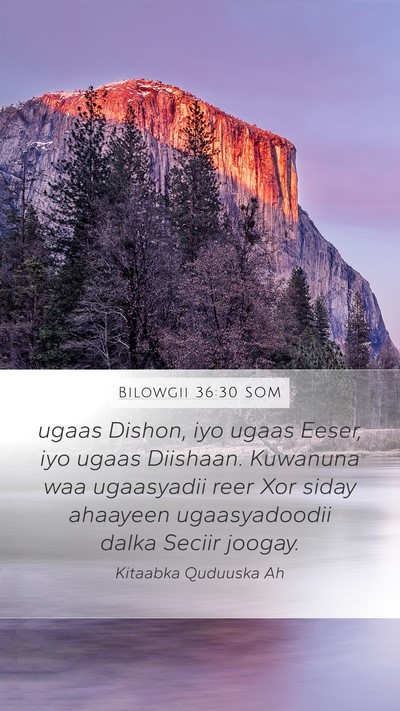 Bilowgii 36:30 SOM Bible Verse Image