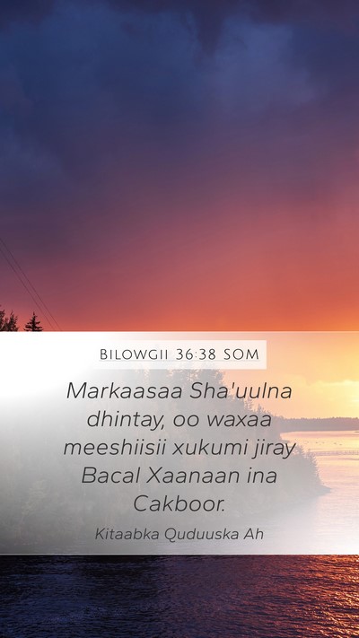 Bilowgii 36:38 SOM Mobile Phone Wallpaper - Markaasaa Sha'uulna dhintay, oo waxaa meeshiisii - Mobile Bible Verse Wallpaper