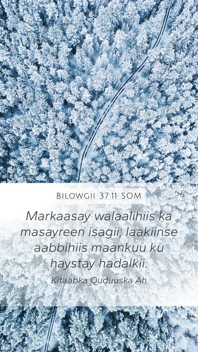 Bilowgii 37:11 SOM Bible Verse Image