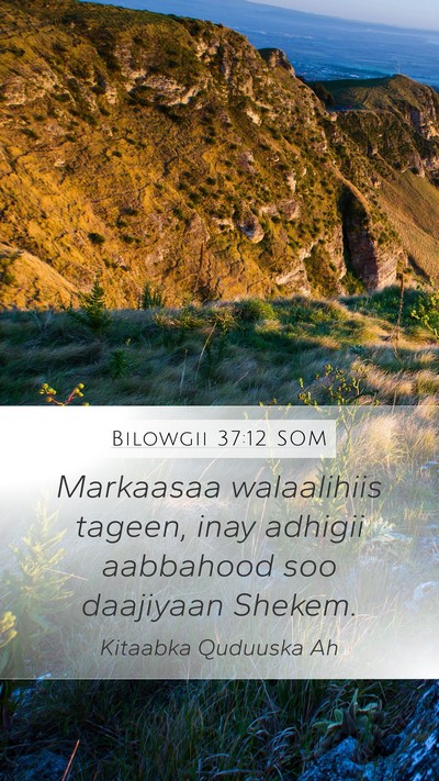 Bilowgii 37:12 SOM Bible Verse Image