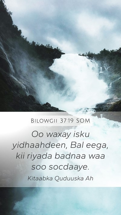 Bilowgii 37:19 SOM Bible Verse Image