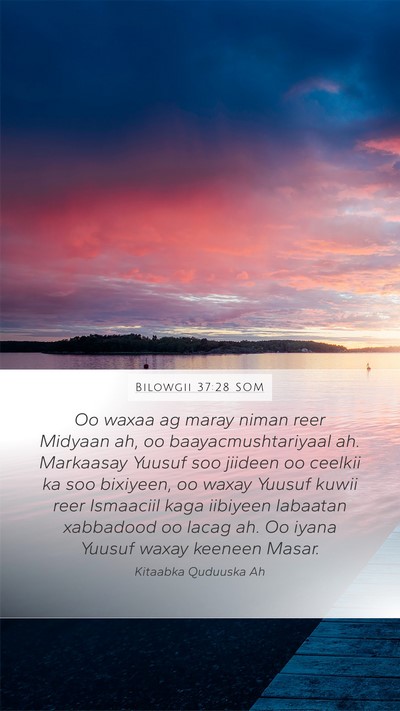 Bilowgii 37:28 SOM Bible Verse Image