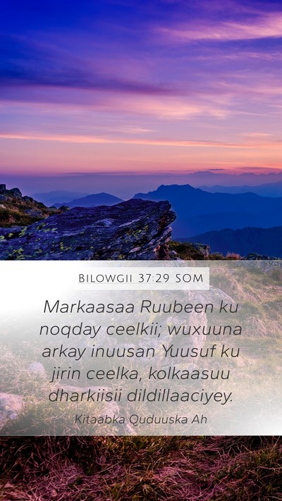 Bilowgii 37:29 SOM Bible Verse Image
