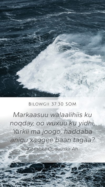 Bilowgii 37:30 SOM Bible Verse Image