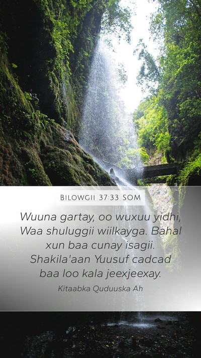 Bilowgii 37:33 SOM Bible Verse Image