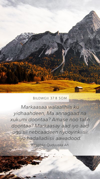 Bilowgii 37:8 SOM Bible Verse Image