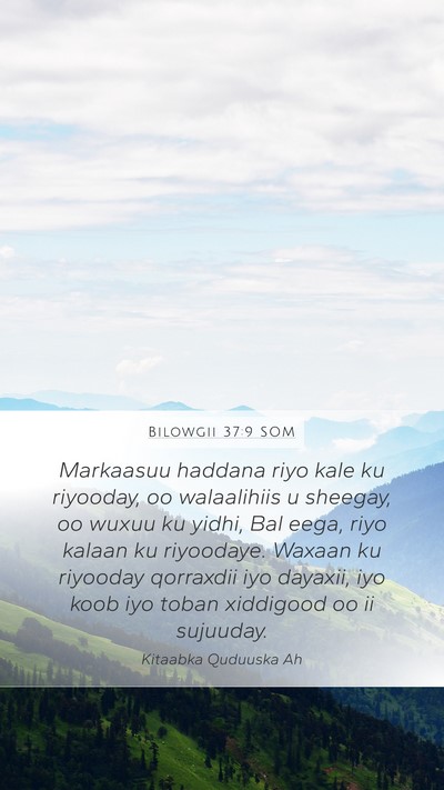 Bilowgii 37:9 SOM Bible Verse Image
