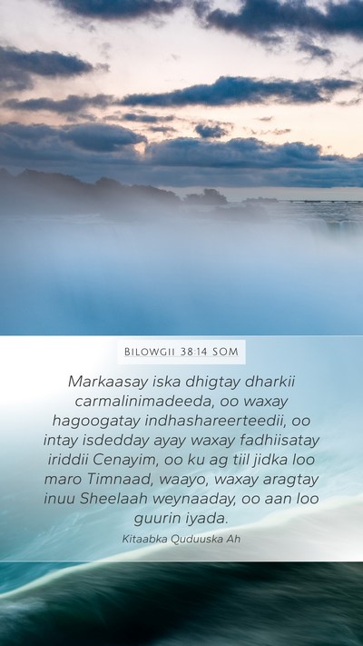 Bilowgii 38:14 SOM Bible Verse Image