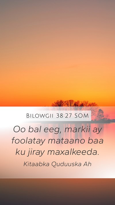 Bilowgii 38:27 SOM Mobile Phone Wallpaper - Oo bal eeg, markii ay foolatay mataano baa ku - Mobile Bible Verse Wallpaper