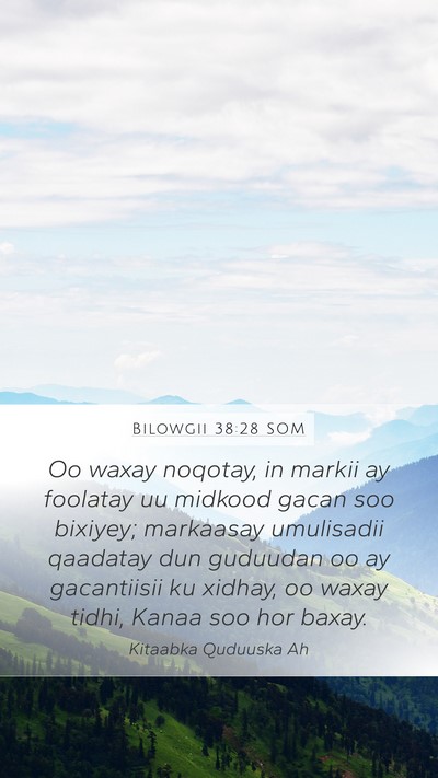 Bilowgii 38:28 SOM Mobile Phone Wallpaper - Oo waxay noqotay, in markii ay foolatay uu - Mobile Bible Verse Wallpaper