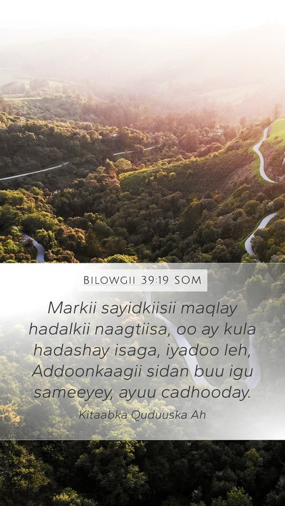 Bilowgii 39:19 SOM Mobile Phone Wallpaper - Markii sayidkiisii maqlay hadalkii naagtiisa, oo - Mobile Bible Verse Wallpaper
