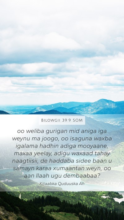 Bilowgii 39:9 SOM Bible Verse Image