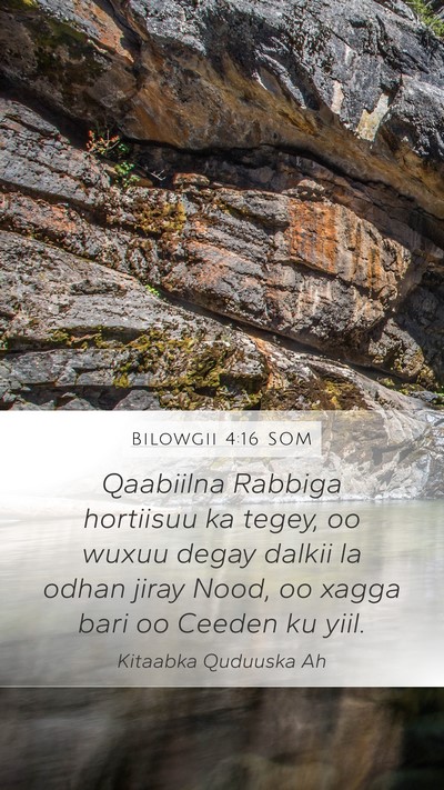 Bilowgii 4:16 SOM Bible Verse Image
