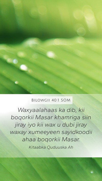 Bilowgii 40:1 SOM Mobile Phone Wallpaper - Waxyaalahaas ka dib, kii boqorkii Masar khamriga - Mobile Bible Verse Wallpaper