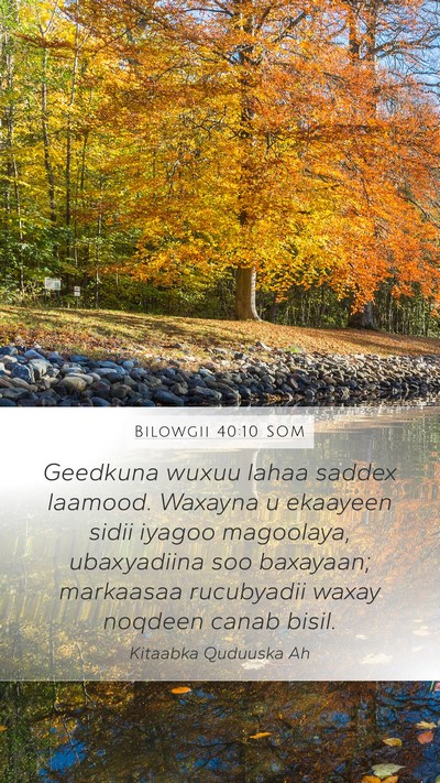 Bilowgii 40:10 SOM Bible Verse Image