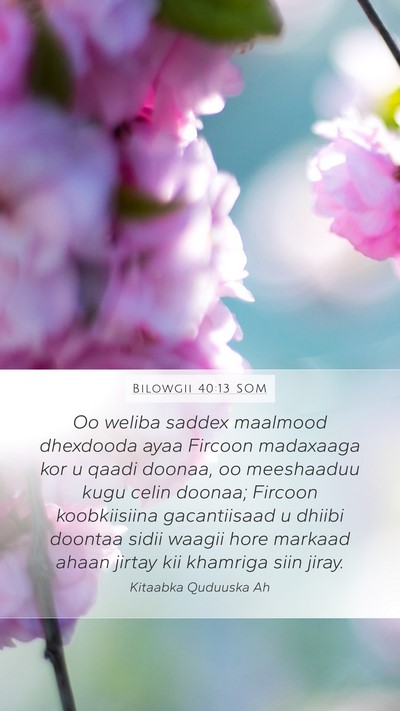 Bilowgii 40:13 SOM Bible Verse Image