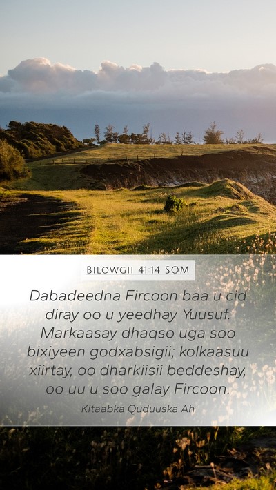 Bilowgii 41:14 SOM Bible Verse Image
