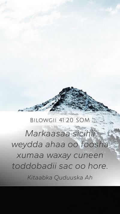Bilowgii 41:20 SOM Bible Verse Image