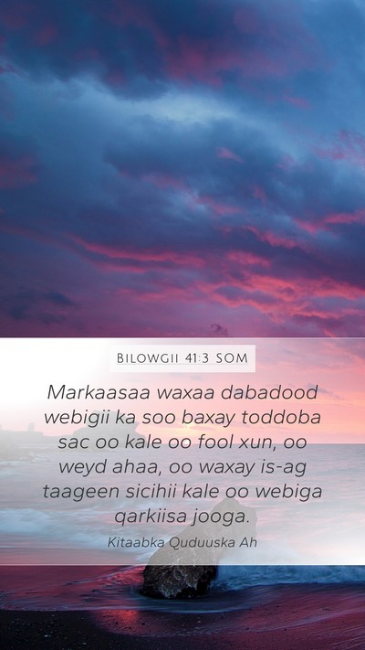 Bilowgii 41:3 SOM Mobile Phone Wallpaper - Markaasaa waxaa dabadood webigii ka soo baxay - Mobile Bible Verse Wallpaper