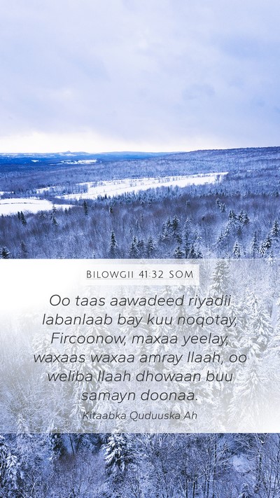 Bilowgii 41:32 SOM Mobile Phone Wallpaper - Oo taas aawadeed riyadii labanlaab bay kuu - Mobile Bible Verse Wallpaper