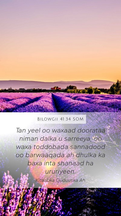 Bilowgii 41:34 SOM Bible Verse Image