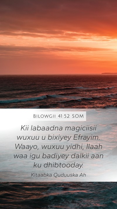 Bilowgii 41:52 SOM Bible Verse Image
