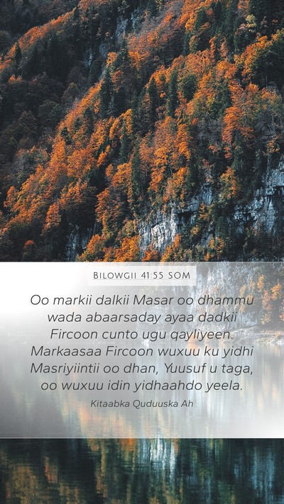 Bilowgii 41:55 SOM Bible Verse Image