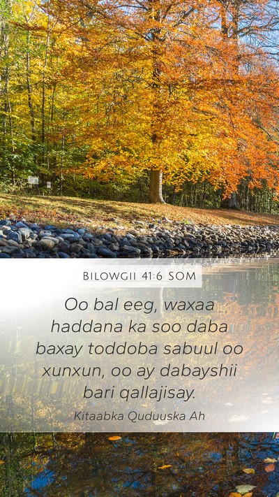 Bilowgii 41:6 SOM Mobile Phone Wallpaper - Oo bal eeg, waxaa haddana ka soo daba baxay - Mobile Bible Verse Wallpaper