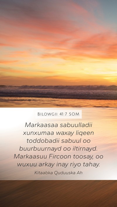 Bilowgii 41:7 SOM Mobile Phone Wallpaper - Markaasaa sabuulladii xunxumaa waxay liqeen - Mobile Bible Verse Wallpaper