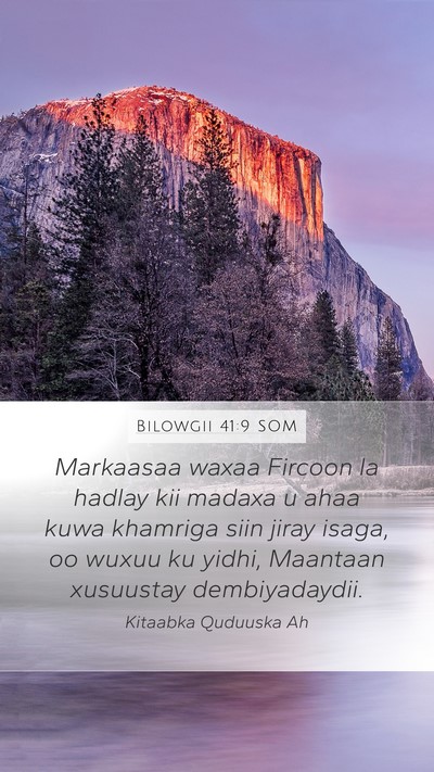Bilowgii 41:9 SOM Bible Verse Image